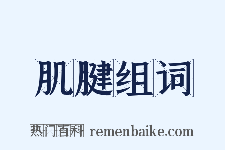 肌腱组词是什么意思的图片
